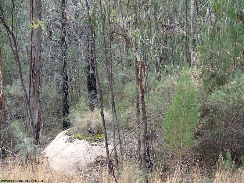 2302 Pyramids Road, Stanthorpe QLD 4380