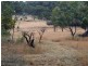 2302 Pyramids Road, Stanthorpe QLD 4380