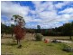 2302 Pyramids Road, Stanthorpe QLD 4380