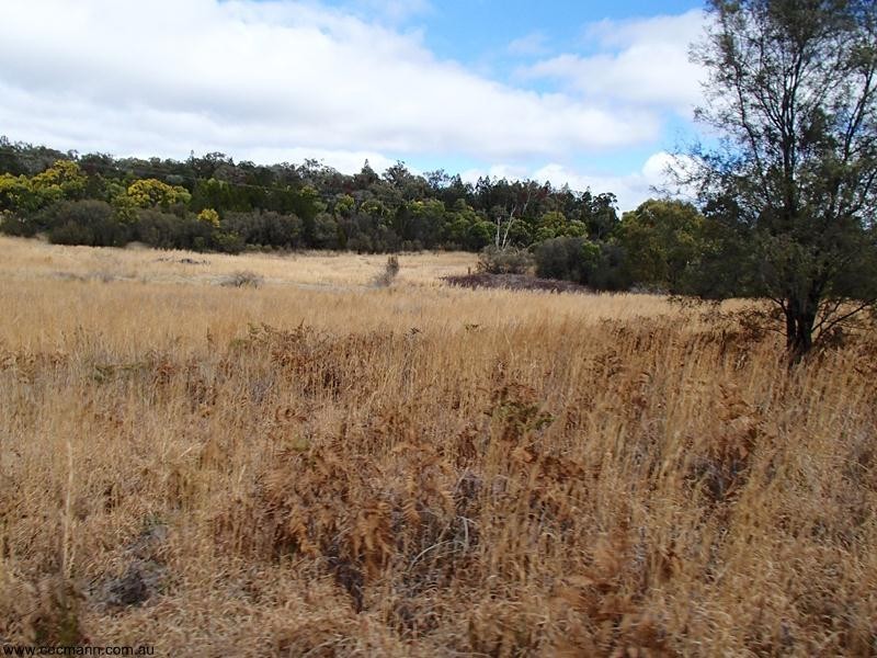 2302 Pyramids Road, Stanthorpe QLD 4380