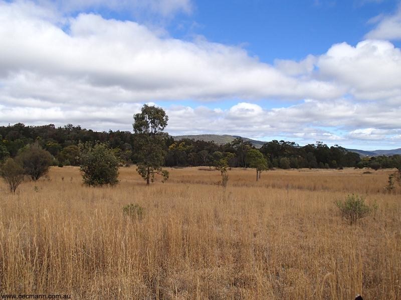 2302 Pyramids Road, Stanthorpe QLD 4380