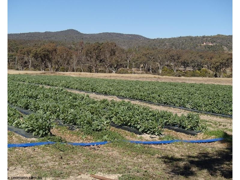 69 Mt Stirling Road, Glen Aplin QLD 4381