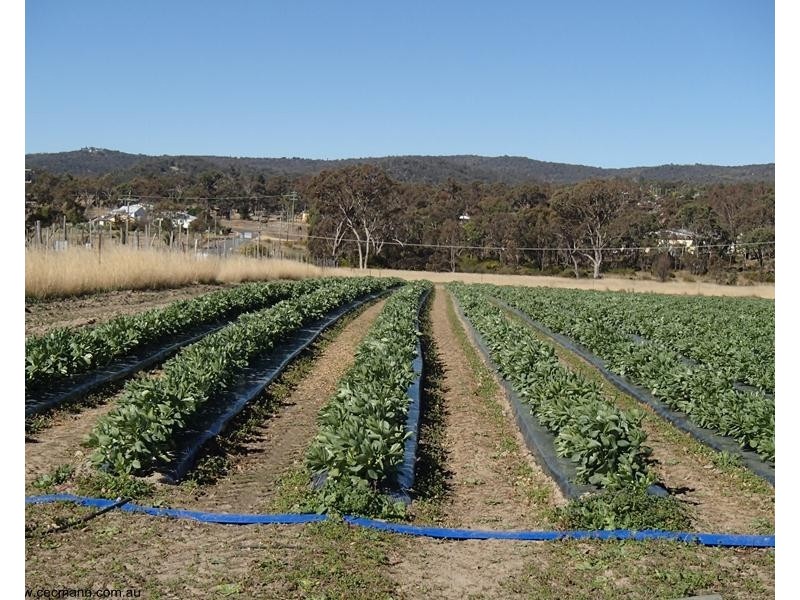 69 Mt Stirling Road, Glen Aplin QLD 4381