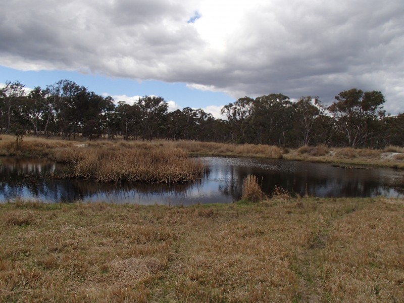 Lot 1 Maryland Road, Thulimbah QLD 4376
