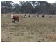 Lot 1 Maryland Road, Thulimbah QLD 4376