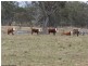 Lot 1 Maryland Road, Thulimbah QLD 4376