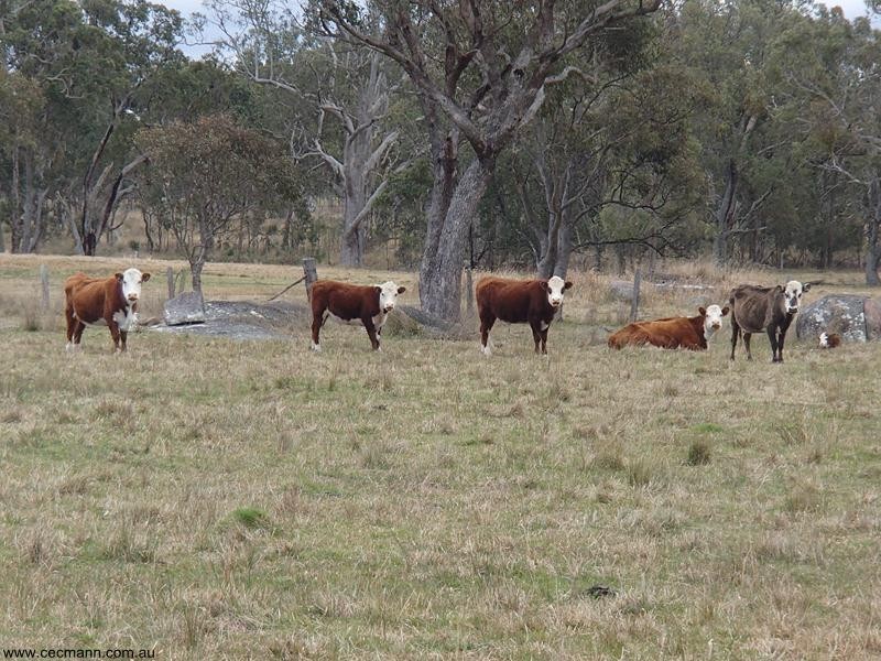 Lot 1 Maryland Road, Thulimbah QLD 4376
