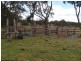Lot 1 Maryland Road, Thulimbah QLD 4376