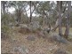 Lot 1 Maryland Road, Thulimbah QLD 4376