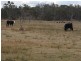 Lot 1 Maryland Road, Thulimbah QLD 4376