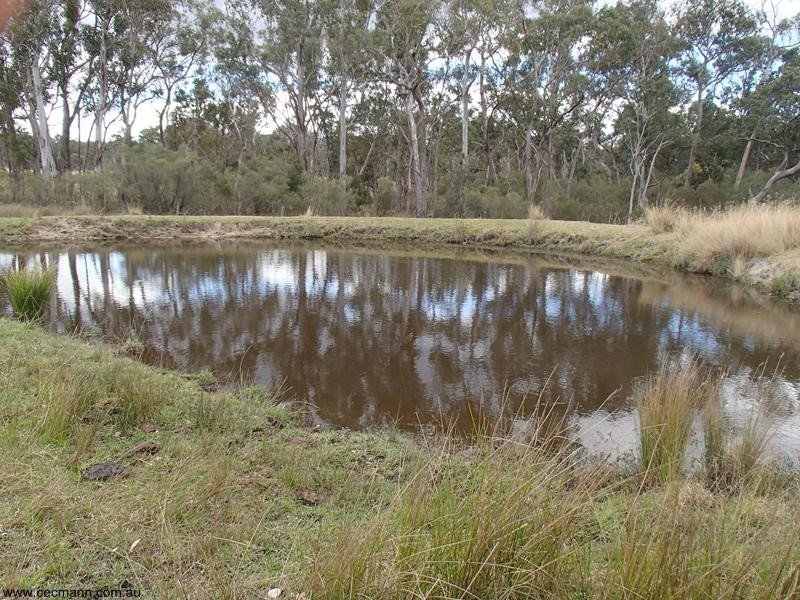 Lot 1 Maryland Road, Thulimbah QLD 4376