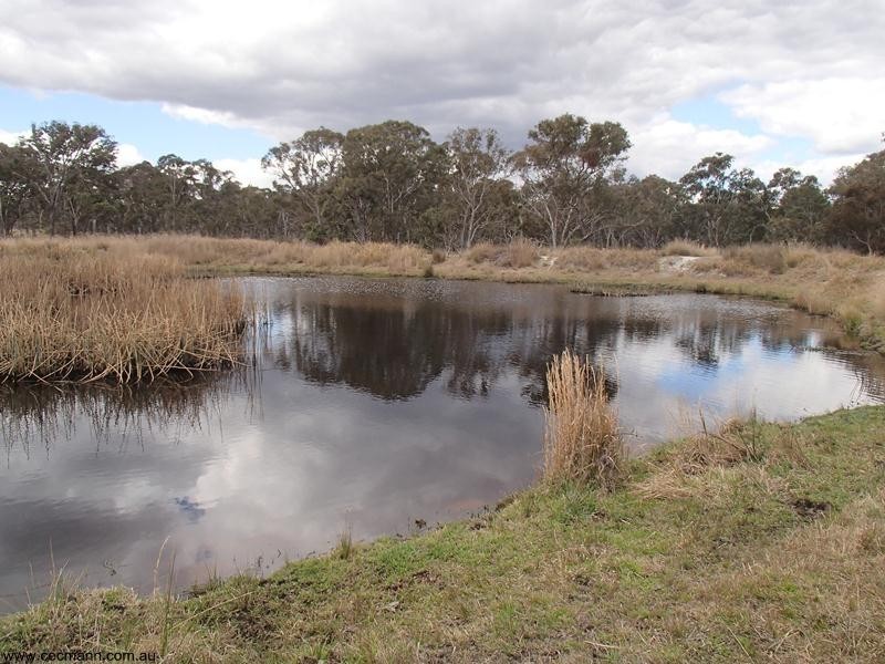Lot 1 Maryland Road, Thulimbah QLD 4376