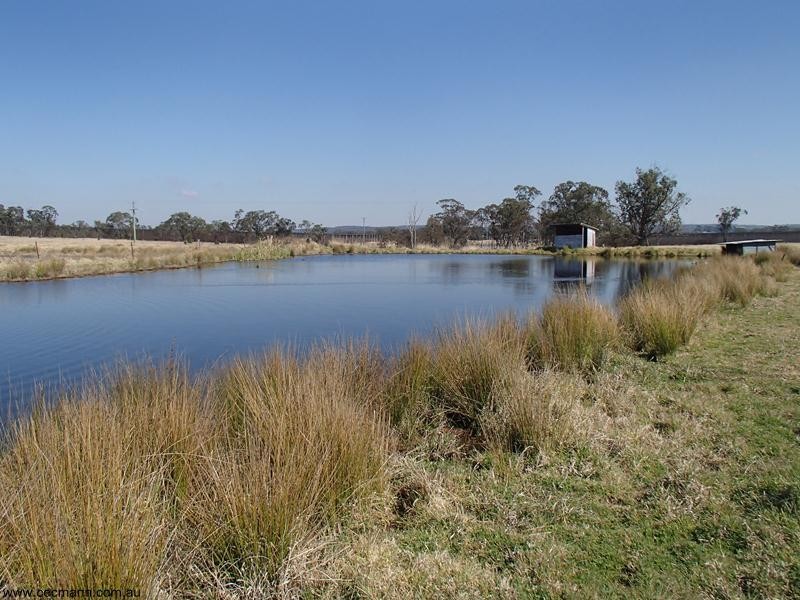 321 Aerodrome Road, Stanthorpe QLD 4380