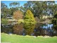 90 Nicholson Road, Stanthorpe QLD 4380