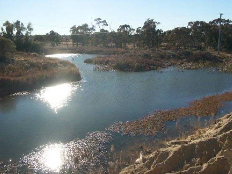 99 Gangemi ROAD, The Summit QLD 4377
