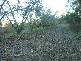 99 Gangemi ROAD, The Summit QLD 4377