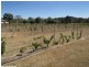 27144 New England Highway, Stanthorpe QLD 4380