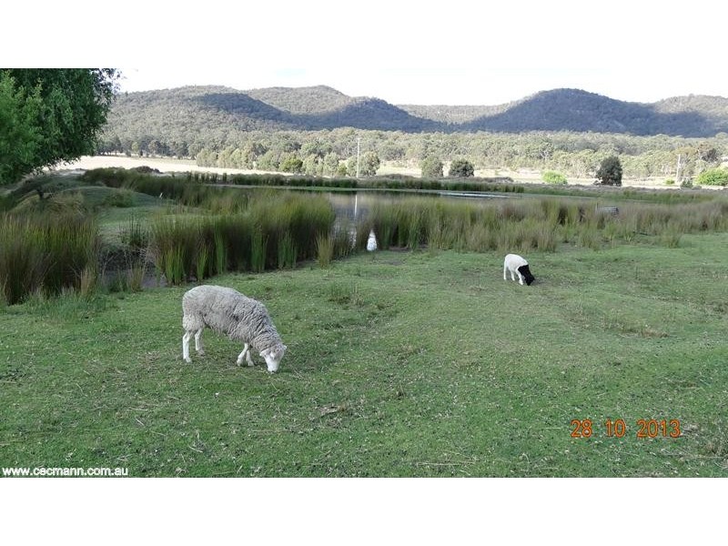 172 Paling Yard Road, Stanthorpe QLD 4380