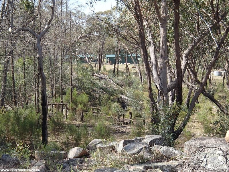 184 Yarnold Road, Stanthorpe QLD 4380