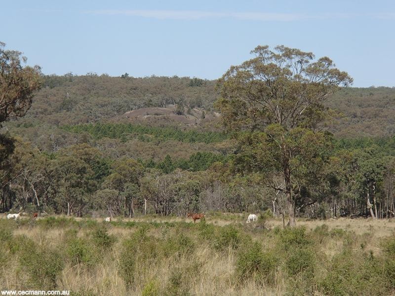 184 Yarnold Road, Stanthorpe QLD 4380