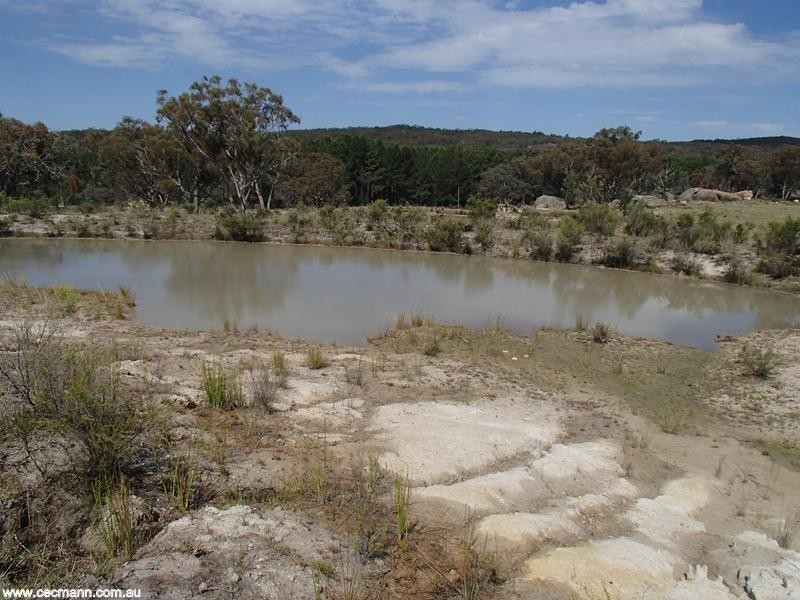 184 Yarnold Road, Stanthorpe QLD 4380