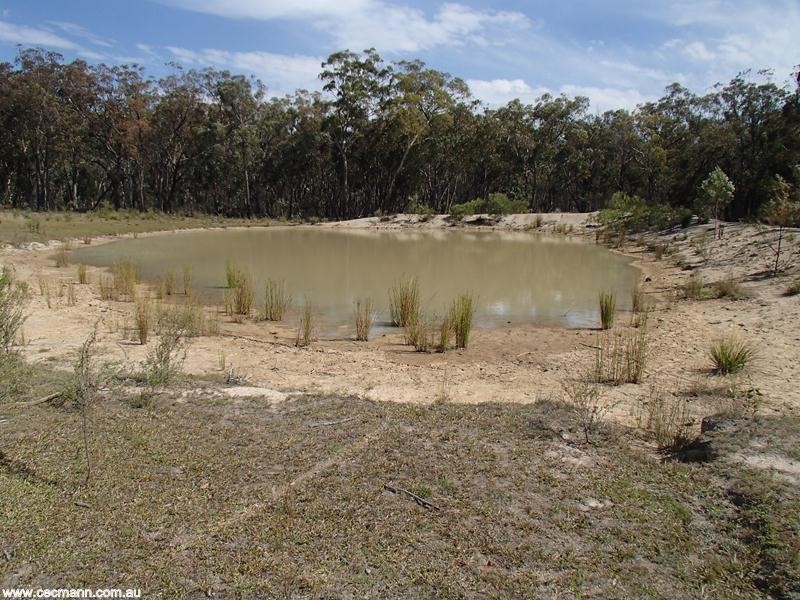 184 Yarnold Road, Stanthorpe QLD 4380