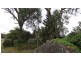 Stanthorpe QLD 4380