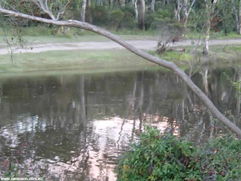 2b Britannia Street, Stanthorpe QLD 4380