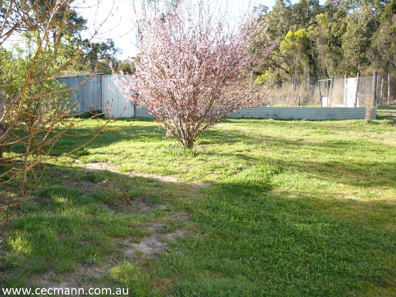 Stanthorpe QLD 4380
