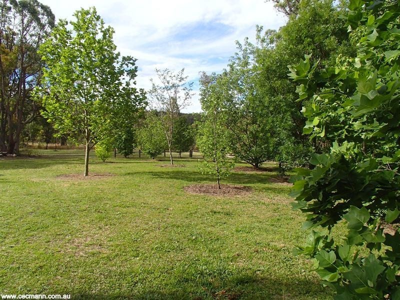 151 Sonego Lane, Stanthorpe QLD 4380