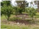 151 Sonego Lane, Stanthorpe QLD 4380