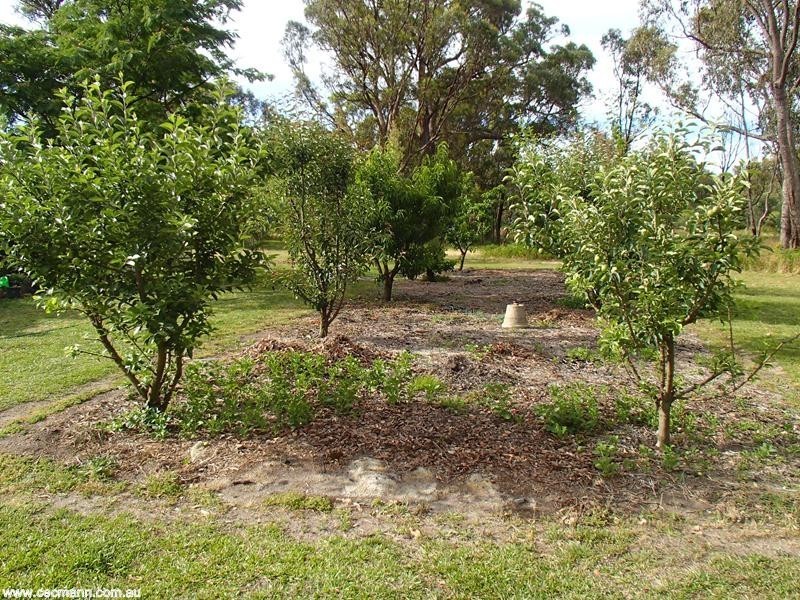151 Sonego Lane, Stanthorpe QLD 4380
