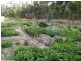151 Sonego Lane, Stanthorpe QLD 4380