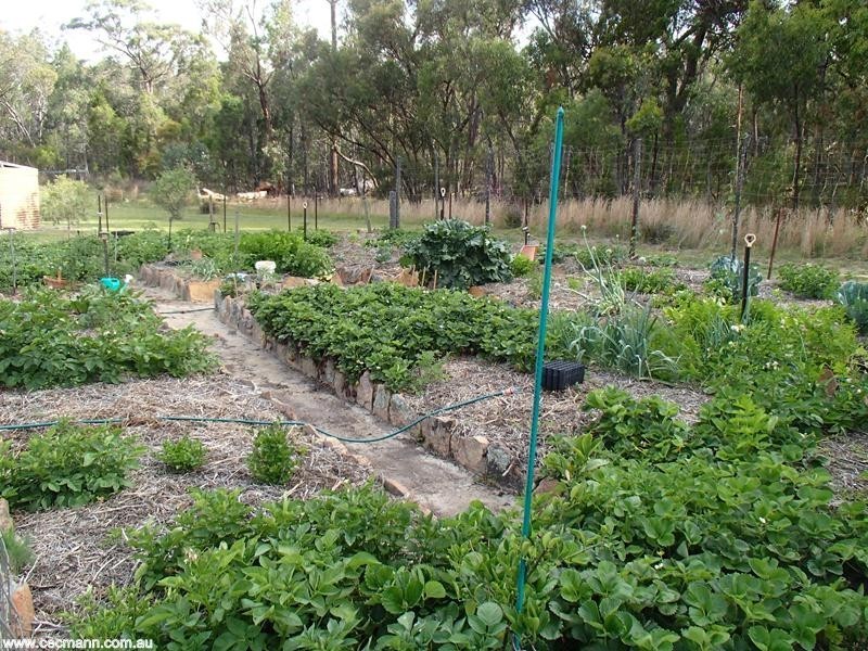151 Sonego Lane, Stanthorpe QLD 4380