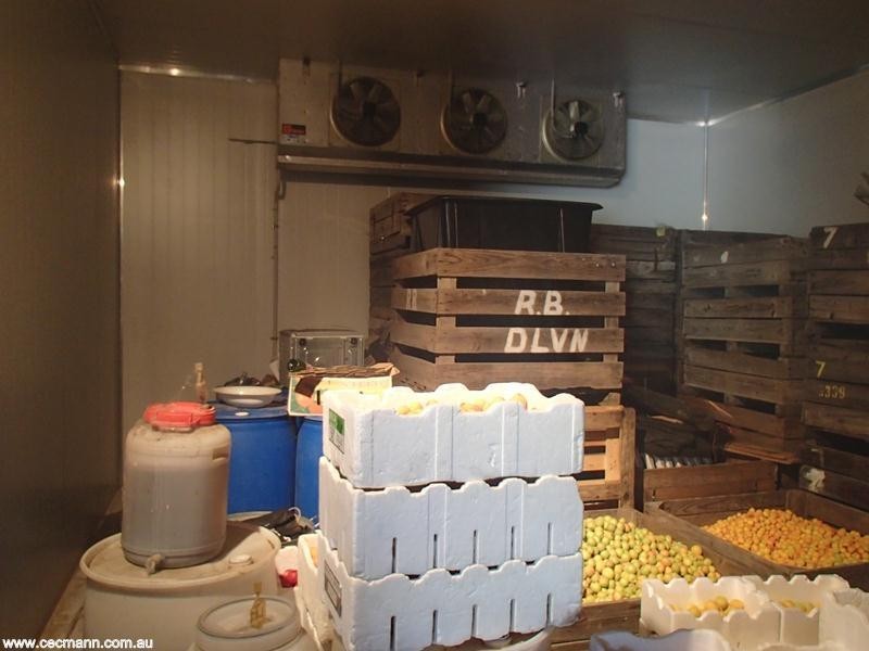 135 Winkler Road, Stanthorpe QLD 4380