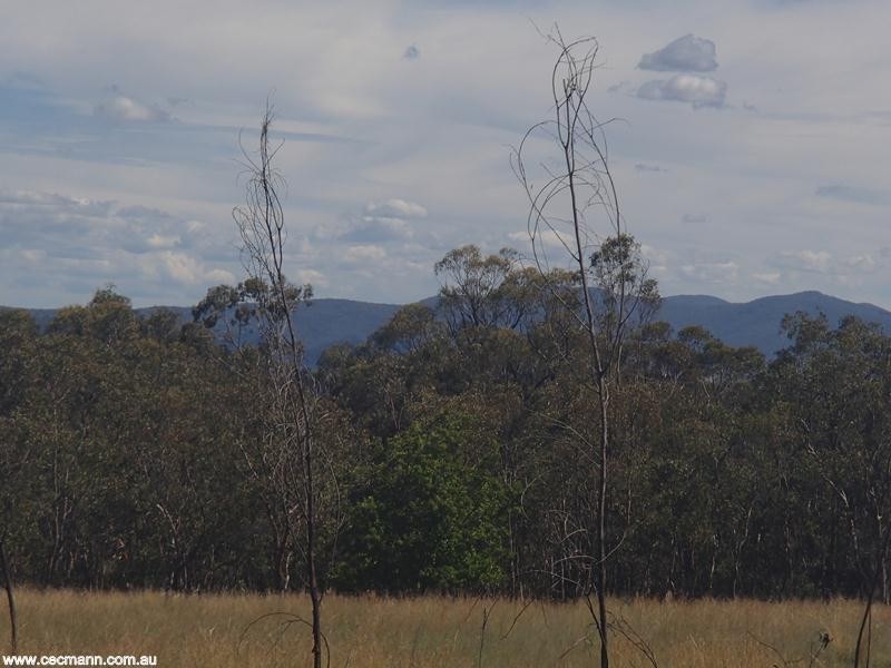 135 Winkler Road, Stanthorpe QLD 4380
