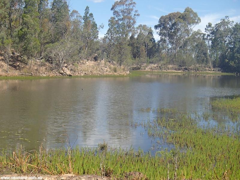 135 Winkler Road, Stanthorpe QLD 4380