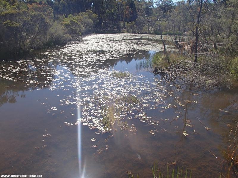 135 Winkler Road, Stanthorpe QLD 4380