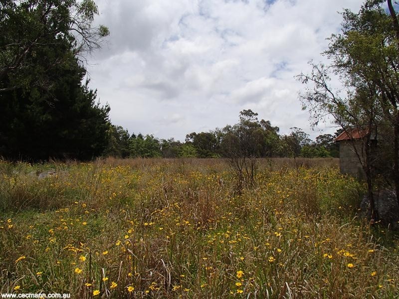 Lot 1 Ellwood Road, Stanthorpe QLD 4380
