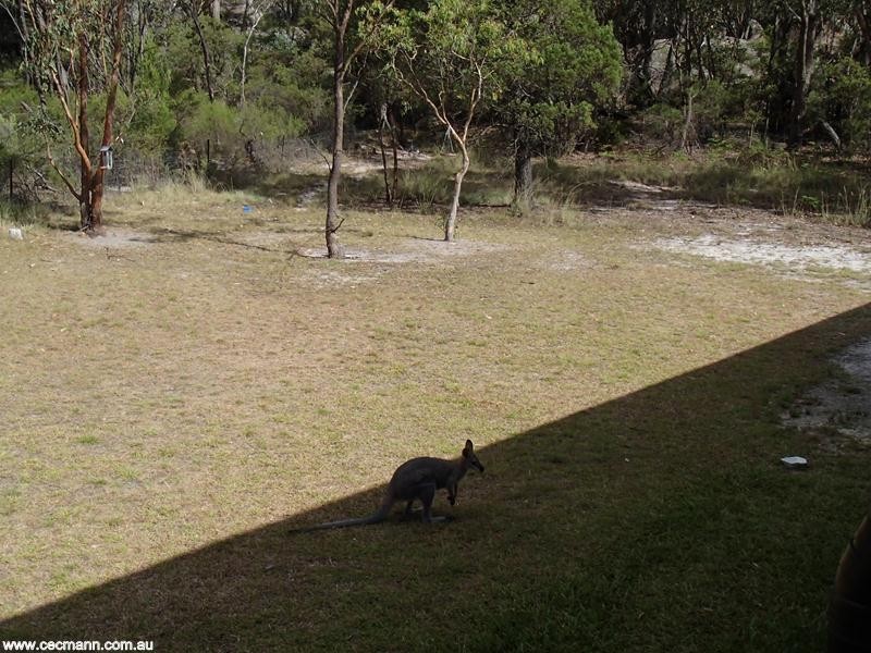 138 Glenlyon Drive, Stanthorpe QLD 4380