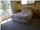 20 Cummerford Road, Stanthorpe QLD 4380