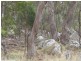 178 Aerodrome Road, Stanthorpe QLD 4380