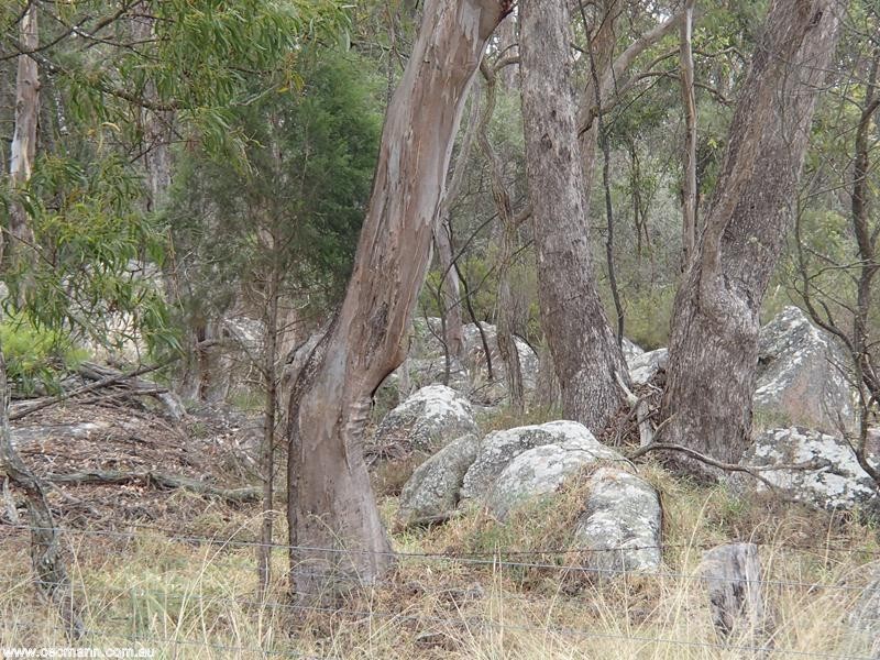 178 Aerodrome Road, Stanthorpe QLD 4380