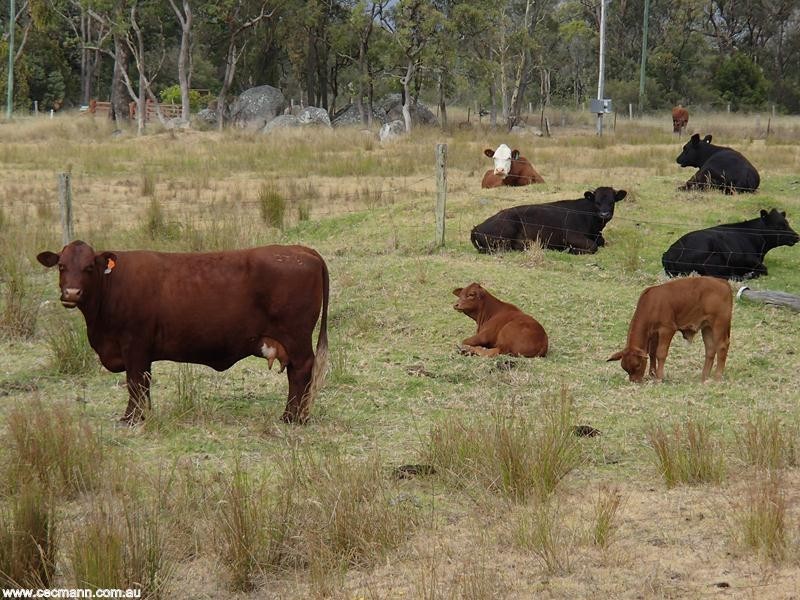 178 Aerodrome Road, Stanthorpe QLD 4380