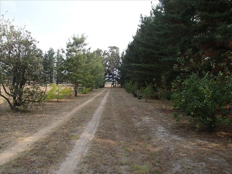 256 Pozieres Road, Stanthorpe QLD 4380