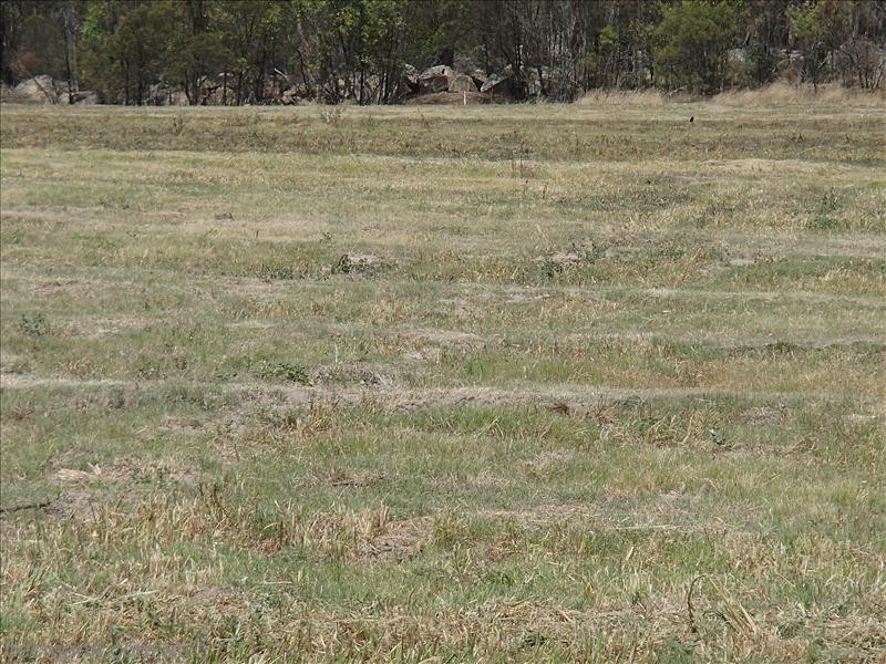 83 Perry Lane, Stanthorpe QLD 4380