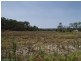83 Perry Lane, Stanthorpe QLD 4380