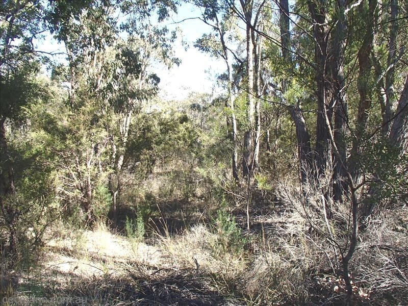 Lot 5,  Nundubbermere Road, Stanthorpe QLD 4380