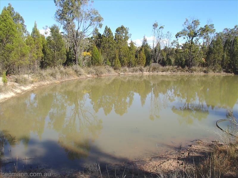 Lot 5,  Nundubbermere Road, Stanthorpe QLD 4380