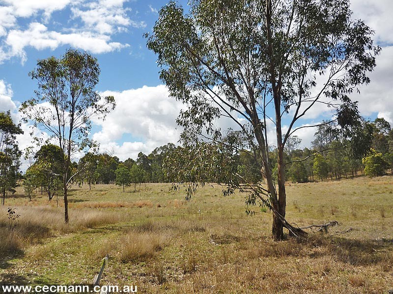 330 Sorrento Road, Stanthorpe QLD 4380